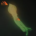 طعمه ژله ای هشت پا شب تاب صورتی BENDAO طول 7 سانتیمتر