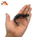 طعمه ماهیگیری هشت تکه کد S105 وزن 17 گرم طول 10 سانتیمتر - تصویر 3