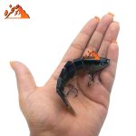 طعمه ماهیگیری شش تکه کد DGRN111 وزن 20 گرم طول 9 سانتیمتر - تصویر 2