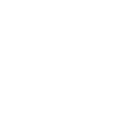 جدیدترین محصولات صخره